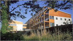 Photo of the Chesapeake Bay Foundation (CBF) Philip Merrill Environmental Center use of native plants to enhance rainwater filtering.